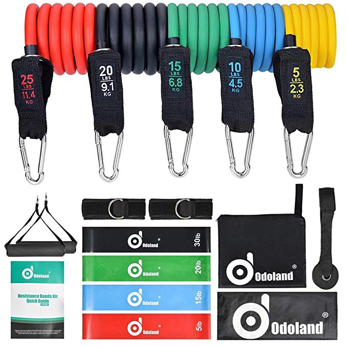 Odoland 16 pcs Resistance Bands Set Workout Bands and Rehab Bands, Heavy Exercise Bands Fitness Bands with Door Anchor, Ankle Strap, Resistance Loop Bands for Gymnastics