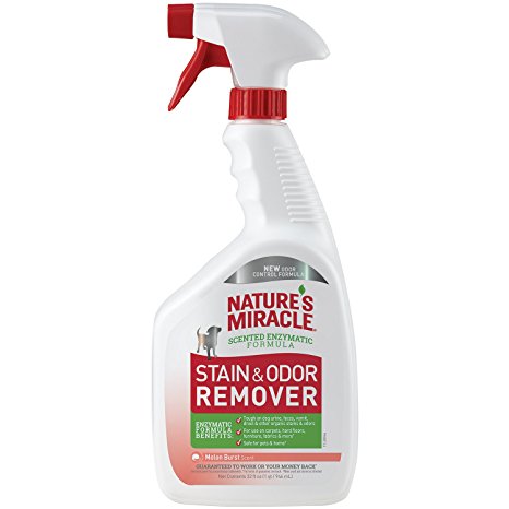 Nature's Miracle Melon Burst Stain and Odor Remover Gallon