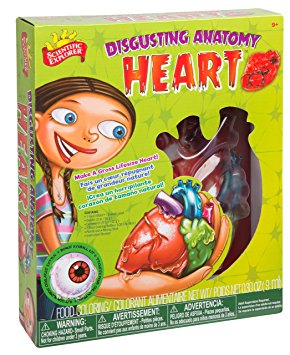 Scientific Explorer Disgusting Anatomy Heart