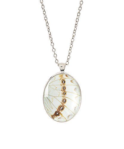 Real Butterfly Wing Necklace - White Morpho Luna butterfly under Magnified Glass - Insect Jewelry