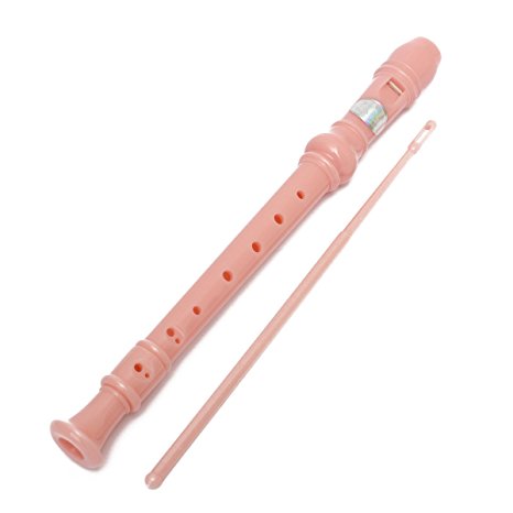 KINGSO 8-Hole Soprano Descant Recorder With Cleaning Rod   Case Bag Music Instrument (Pink)