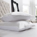 Jasmine Silk 100 16 Momme Charmeuse Silk Pillowcase With Cotton underside 50 x 75 cm