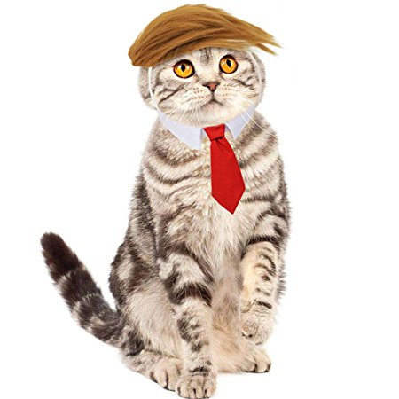Bascolor Trump Cat Costume and Tie for Halloween Festival Parties and Activities