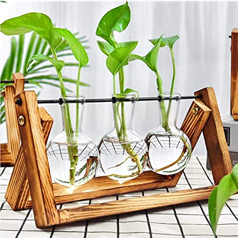 hydroponic Plant vase Plant Terrarium with Wooden Stand Propagation Stations,Air Planter Bulb Glass Vase Desk Planter Metal Swivel Holder for Home Office Decoration (3 Bulb Vase)