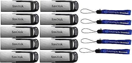 SanDisk 64GB Ultra Flair USB (10 Pack) 3.0 Flash Drive High Performance 130MB/s (SDCZ73-064G-G46) Bundle with (5) Everything But Stromboli Lanyards