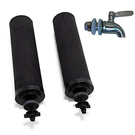 2 Black Berkey Replacement Elements and Stainless Steel Spigot