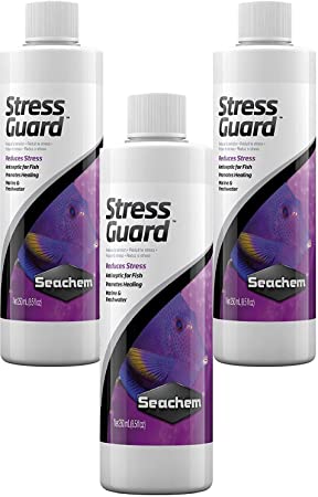 Seachem 3 Pack of StressGuard, 8.5 Fluid Ounces each, Premium Slime Coat Protection for Fish