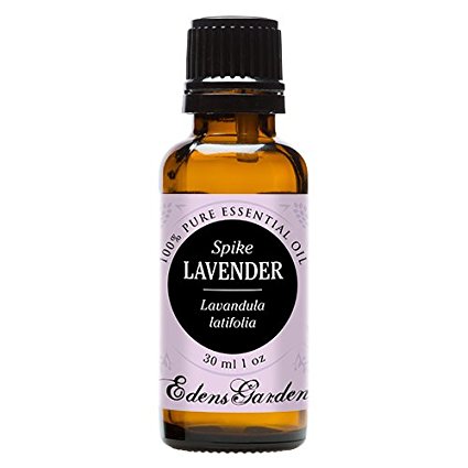 Spike Lavender 100% Pure Therapeutic Grade Essential Oil by Edens Garden- 30 ml