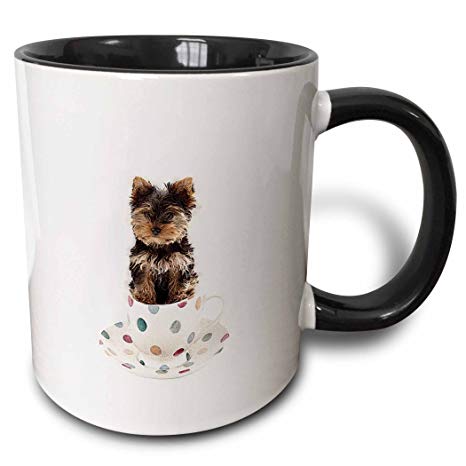 3dRose 212051_4 Yorkie in Tea Cup Mug, 11 oz, Black