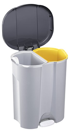 Rotho litter bin Duo, garbage can with 2 separate inner bins and pedal mechanism, capacity 2 x 28 L, dimensions approx 49 x 42 x 58.5 cm, grey metallic/silver