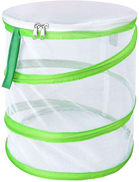 Alezywels Butterfly Habitat Insect Cage - Round Pop Up Mesh Net 12 x 14 Inches Tall with Side and Top Windows