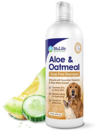 Oatmeal Shampoo For Dogs With Soothing Aloe Vera, Suitable For All Pets, With Cucumber Essence and Ripe Melon Extract, Hypoallergenic, Soap-Free Formula Provides Relief From Dry, Itchy Skin, 16 Oz