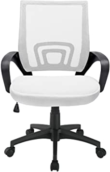 BOSSIN Office Chair Mesh Desk Chair Ergonomic Computer Chair with Lumbar Support Modern Executive Adjustable Chair Rolling Swivel Chairs for Women Men,Black(White-1)