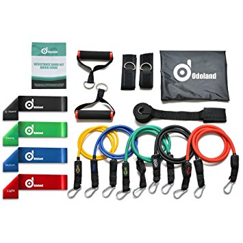 Odoland 16 pcs Resistance Bands Set Workout Bands, Heavy Exercise Bands Fitness Bands with Door Anchor, Ankle Strap, Resistance Loop Bands for Gymnastics