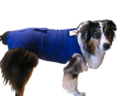 Surgi Snuggly E Collar Alternative, Created By A Veterinarian Specifically to Fit Your Dog, Large Short