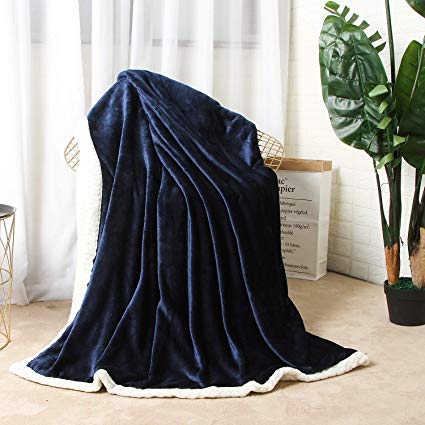 ICE FROG Extra Soft Flannel Bed Blanket - Luxury Reversible Anti-Static Sherpa Fleece Throw Blanket for All Seasons Use, Perfect Bedding for Home Travel Camping Sofa Couch Bed 60"x80", Sapphire Blue