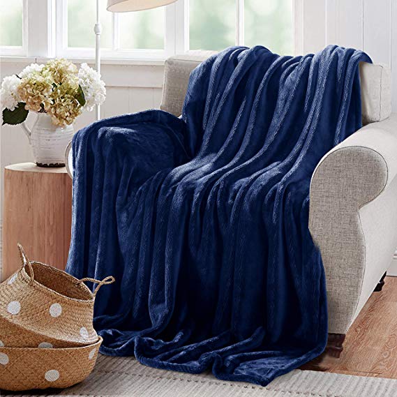 Reafort Ultra Soft Flannel Fleece Royal Plush Velvet Lightweight Living Room/Bedroom Warm Blanket (Blue, Twin 66"X90")