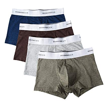 DODOMIAN Men's Boxes Briefs 4-Pack Mens Underwear
