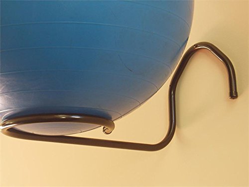 PF Solutions The Loop - Stability Ball Holder