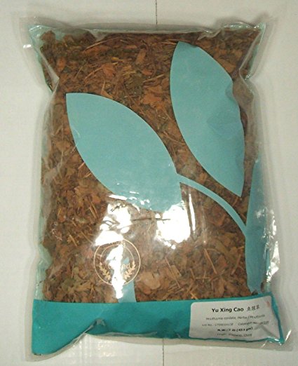 Houttuynia Cordata Herb / Yu Xing Cao, 1lb Bulk Herb