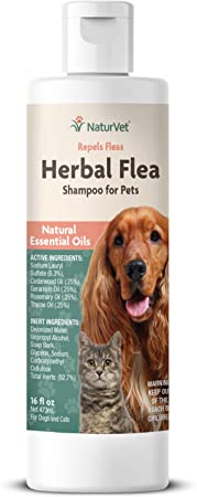 NaturVet – Herbal Flea Plus Essential Oils – Essential Oils Help to Repel Fleas – Deodorizes With a Fresh Herbal Fragrance – For Dogs & Cats – 16 oz Shampoo