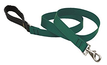 LupinePet Basics 1" Green Leashes for Medium and Larger Dogs