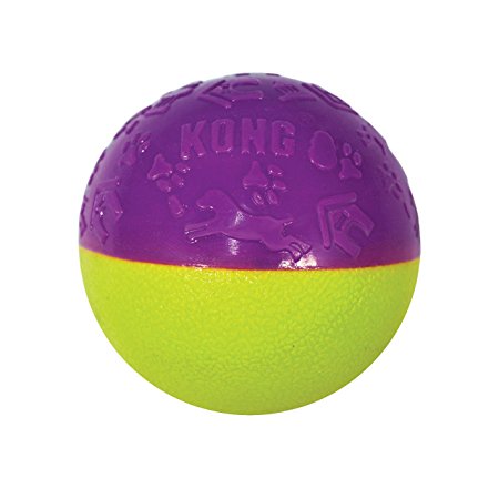 KONG Iconix Ball Dog Toy, Medium