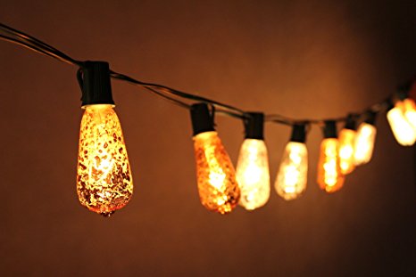 Joyin® 10 Ft Set of 10 Mercury Glass ST40 Edison Style Holiday UL Listed Commercial Quality String Lights for Indoor / Outdoor Use - End-to-end Unique light set has a crackled finish creating the look of mercury glass(Green wire)