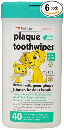 Petkin Toothwipes, Fresh Mint, 40-Count  (Pack of 6)
