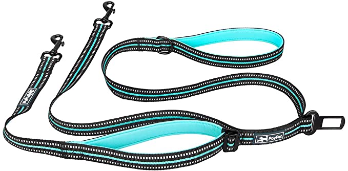 PoyPet 3 in 1 Detachable 5 Feet Reflective Dog Leash with Car Seat Belt Heavy Duty No Tangle for Small Medium Large Dogs(Mint Blue)