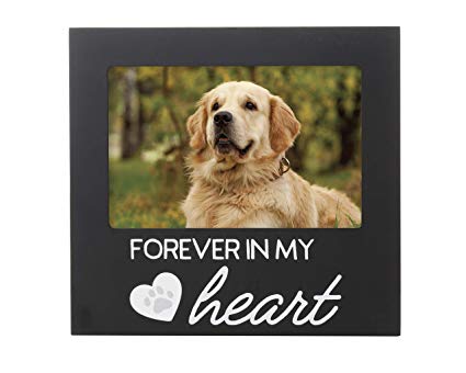 Pearhead Pet Memorial Sentiment Frame, Pet Memory Picture Frame, Dog or Cat Tribute Keepsake