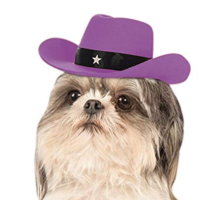Rubie's Lavender Cowgirl Hat for Dogs, S/M