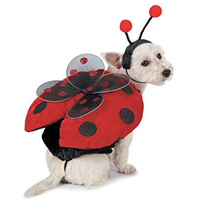 Casual Canine Ladybug Costumes for Dogs