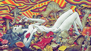 Psychedelic Trippy Art Fabric Cloth Rolled Wall Poster Print -- Size: (43" x 24" / 24" x 13")