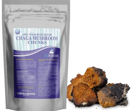 Ultra Premium Chaga Mushroom from Maine and Canada. Make 50  Cups of Natural Tea. Wild Harvested, Organic. 4 Oz. Make Extract, Powder. Highest Antioxidants, Sustainably Harvested. Never Cultivated.
