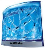 Fascinations AntWorks Illuminated Blue