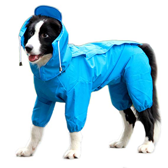 Alfie Pet by Petoga Couture - Bella Rainy Days Waterproof Raincoat (for Dogs and Cats)