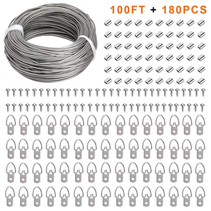 Picture Hanging Kit, 60 Pcs D Ring Picture Hangers with Screws and 100 Feet Stainless Steel Hanging Wire, for Hanging Paintings Photos