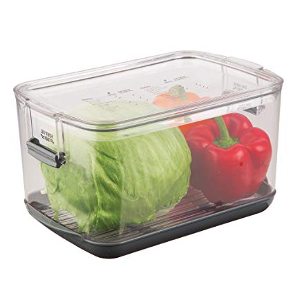 Progressive International PKS-900 Prepworks Progressive Large Produce Keeper, Clear