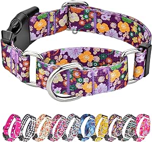 Martingale Collar for Dogs Cute Floral Dog Collar for Small Medium Large Dogs Special Design Fancy Dog Collars for Girl Boy Pet (Purple Flower,Medium)