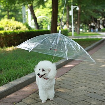 LESYPET Pet Umbrella Dog Umbrella With Leash, Fits 20" Pet's Back Length
