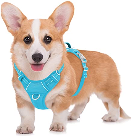 BARKBAY No Pull Dog Harness Large Step in Reflective Dog Harness with Front Clip and Easy Control Handle for Walking Training Running with ID tag Pocket