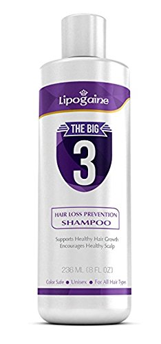 Lipogaine Hair Loss Prevention Premium Organic Shampoo, For Men & Women -Color Safe, With Biotin and Argan Oil