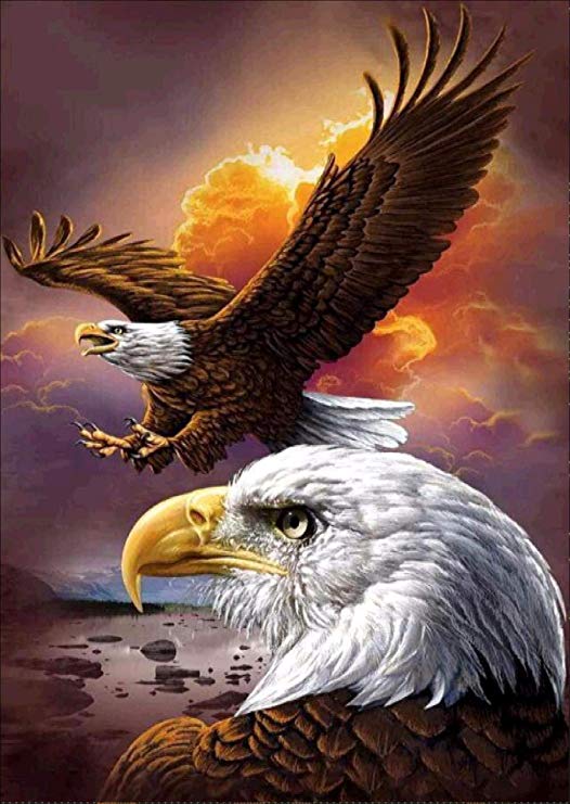 Flying Eagle Diamond Painting Kits - PigBoss 5D Full Diamond Painting by Numbers - Crystal Diamond Dots Kits Eagle Painting Home Decor Art Gift (11.8 x 15.7 inches)