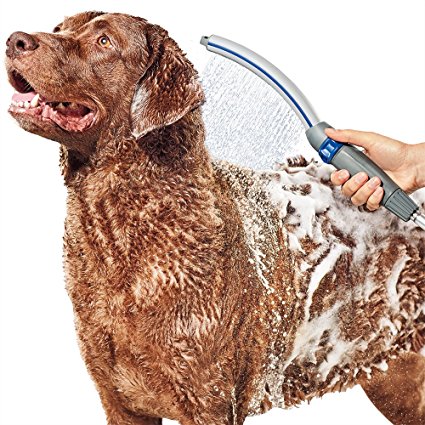 Waterpik PPR-252 Pet Wand PRO Dog Shower Attachment for Indoor-Outdoor Use, Blue/Grey