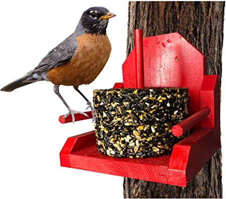 Bird Feeder for Outside – Red Platform Stacker Cake Bird Feeder Made in USA – Pole Tree Fence Mount – Attracts Birds to Your Yard for Birdwatching Fun