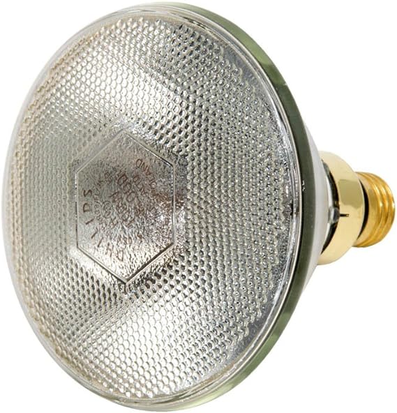 Philips 100W PAR38 Cool White Metal Halide Flood Bulb