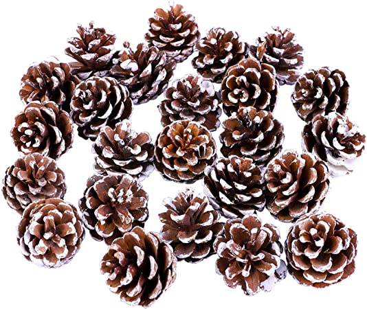 Cooraby 24 Pieces 3-4 cm Mini Christma Pine Cones Holiday Pinecones Xmas White Pine Cones Fall Thanksgiving Christmas Party Decoration for DIY Crafts