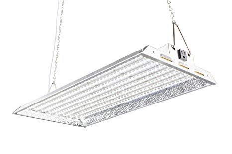 Durolux DLED828W LED Grow Light | 2 Feet by 1 Foot | 160W (0.5 W LEDs x 320 Pcs) with White 5500K FullSun Spectrum and 20000 Lux Great for Seeding and Veg Growing! Over 50% Energy Saving!