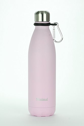 Minimal Stainless Steel Insulated Water Bottle